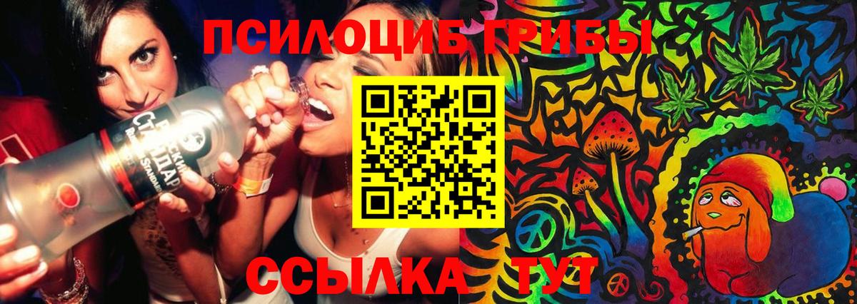 Псилоцибиновые грибы Psilocybine cubensis Шебекино